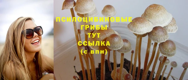 соль ск Абаза