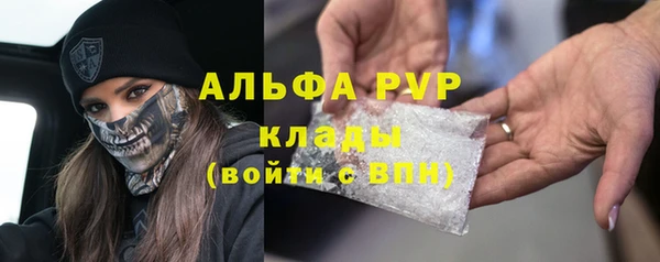 стаф Алзамай