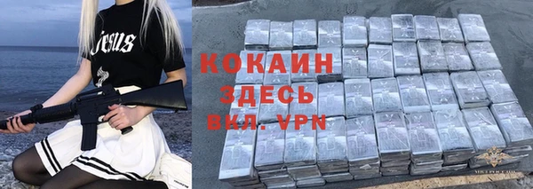 соль ск Абаза