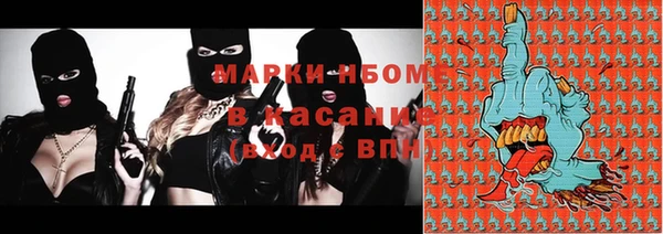 индика Алексин