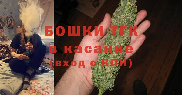 стаф Алзамай