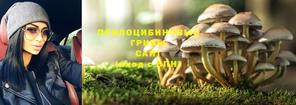 ГАЛЛЮЦИНОГЕННЫЕ ГРИБЫ Абдулино